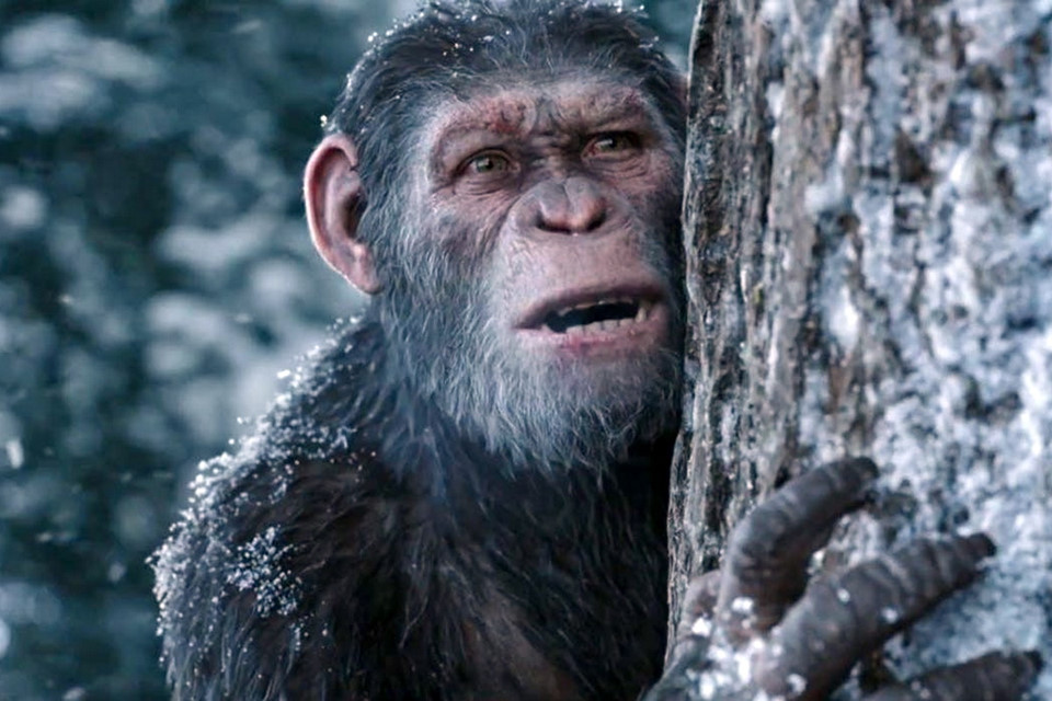 10 người hùng lôi cuốn nhất trên màn ảnh năm 2017